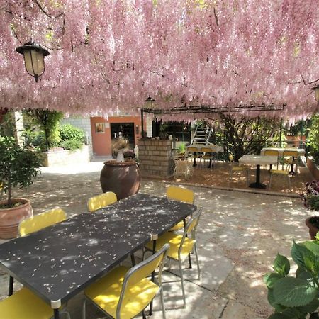 Apartment Orietta سافودغيا المظهر الخارجي الصورة